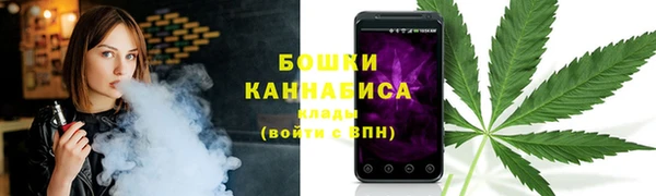шишки Заводоуковск