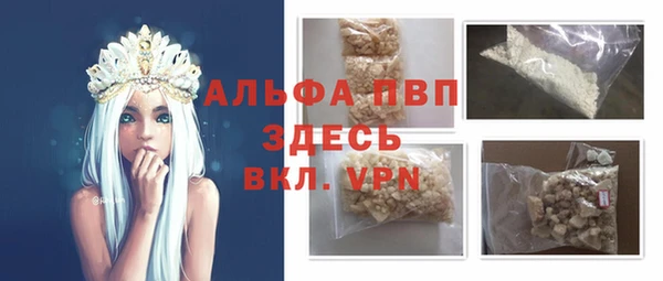 шишки Заводоуковск