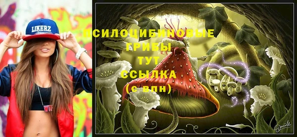 шишки Заводоуковск