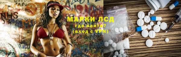шишки Заводоуковск