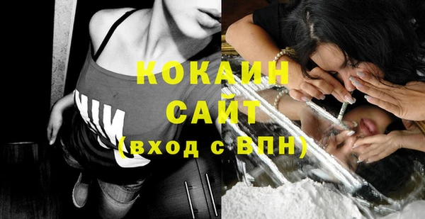 шишки Заводоуковск