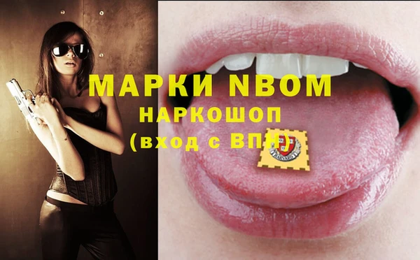 шишки Заводоуковск