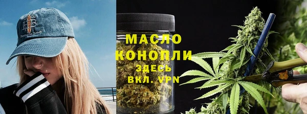 шишки Заводоуковск