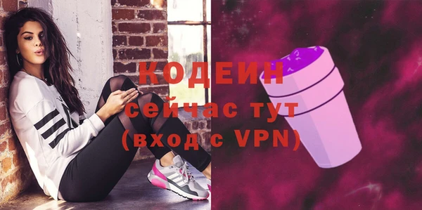 шишки Заводоуковск