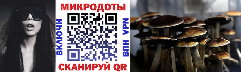 Галлюциногенные грибы MAGIC MUSHROOMS  Купить где  Можайск 